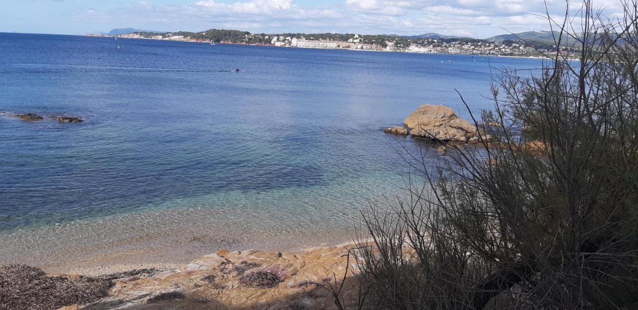 Suite & Spa Just Dream 28 Six-Fours-les-Plages Eksteriør billede
