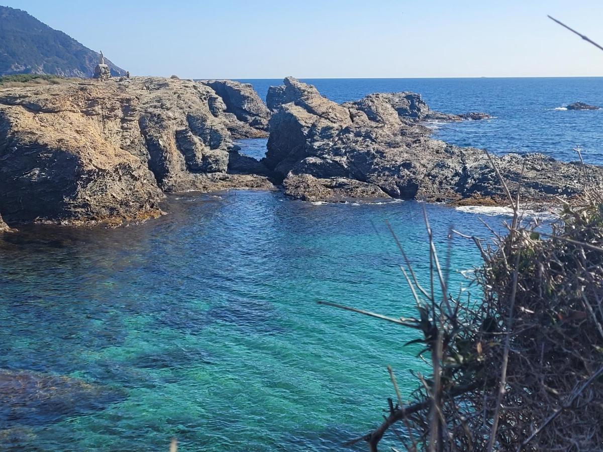 Suite & Spa Just Dream 28 Six-Fours-les-Plages Eksteriør billede